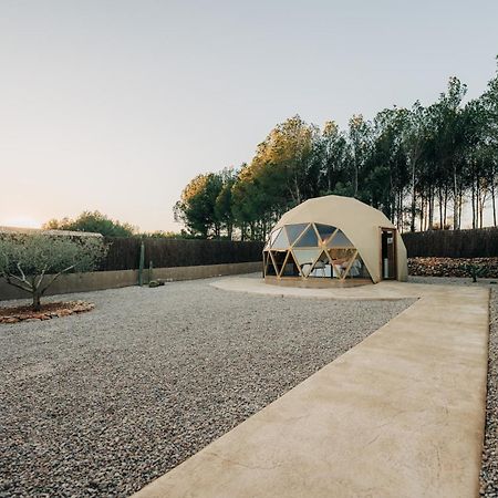 Hotel El Moli Glamping à Adzaneta Extérieur photo